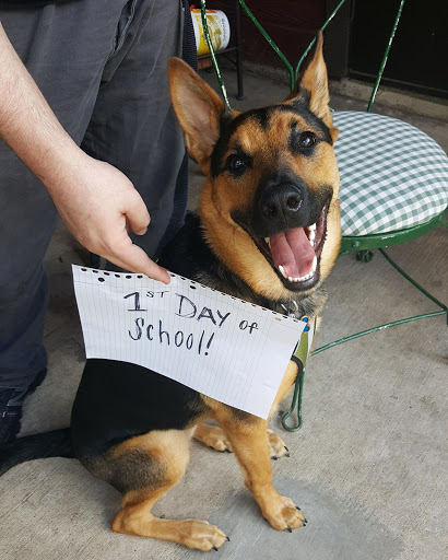 Pet Supply Store «PetSmart», reviews and photos, 1921 Gulf Fwy S, Dickinson, TX 77539, USA