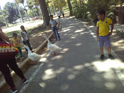 Sitios divertidos niños Caracas