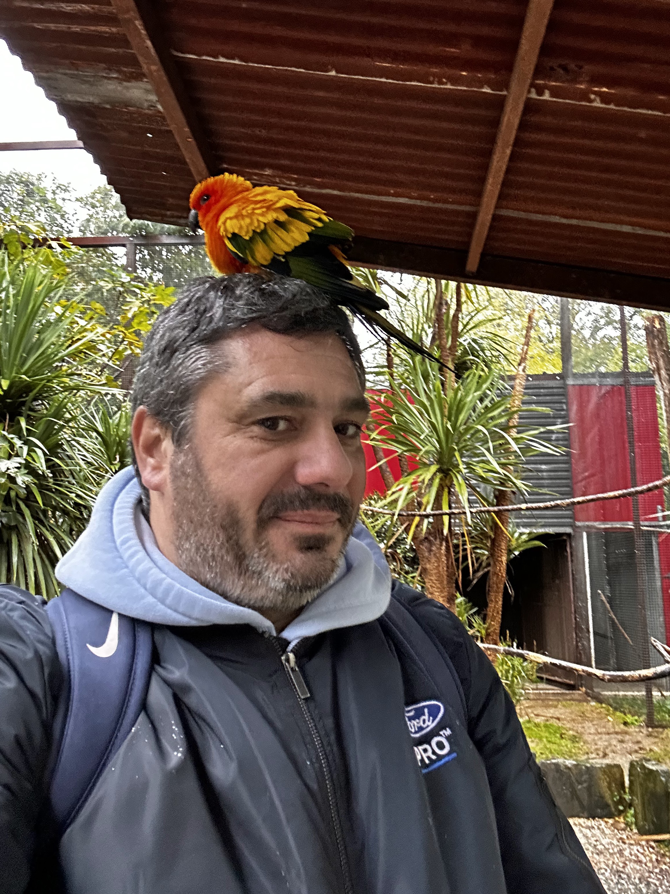 Photo n° 4 de l'avis de Vincent.e fait le 04/11/2023 à 07:14