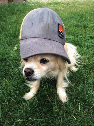 Plumber «3 Mountains Plumbing», reviews and photos, 524 N Tillamook St #102, Portland, OR 97227, USA