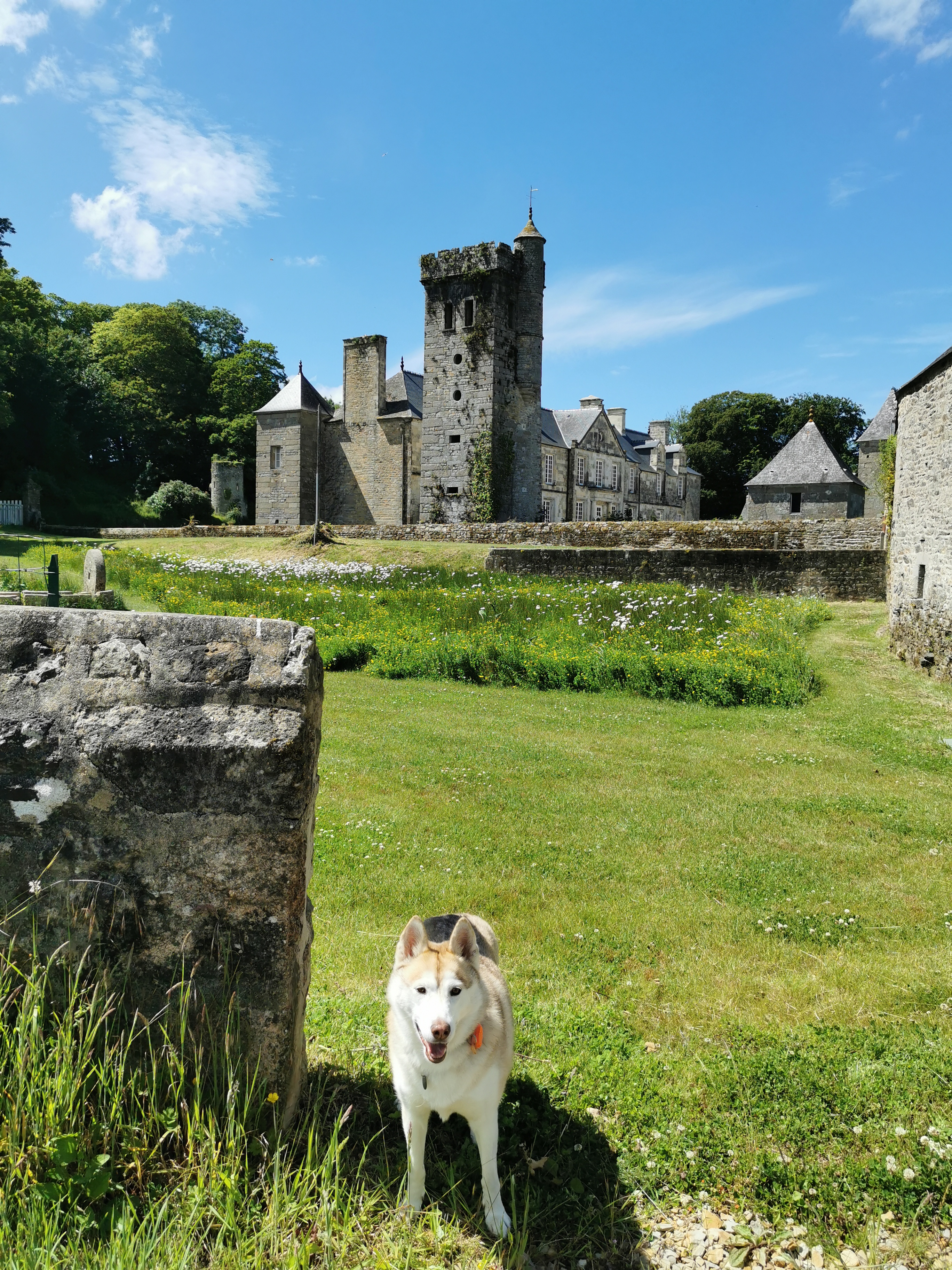 Photo n° 1 de l'avis de L'Azura. fait le 13/06/2022 à 20:13