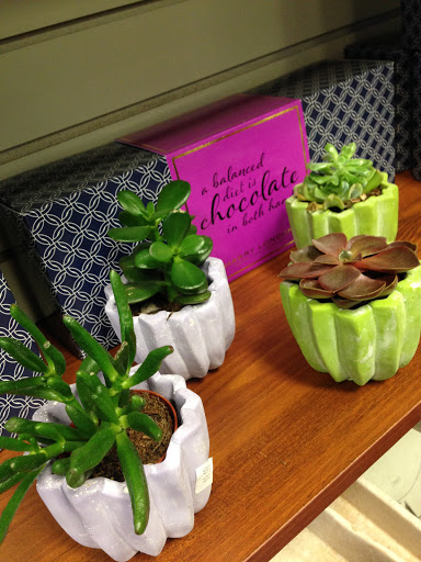 Florist «Flowerama of Springfield», reviews and photos, 659 W Sunshine St, Springfield, MO 65807, USA