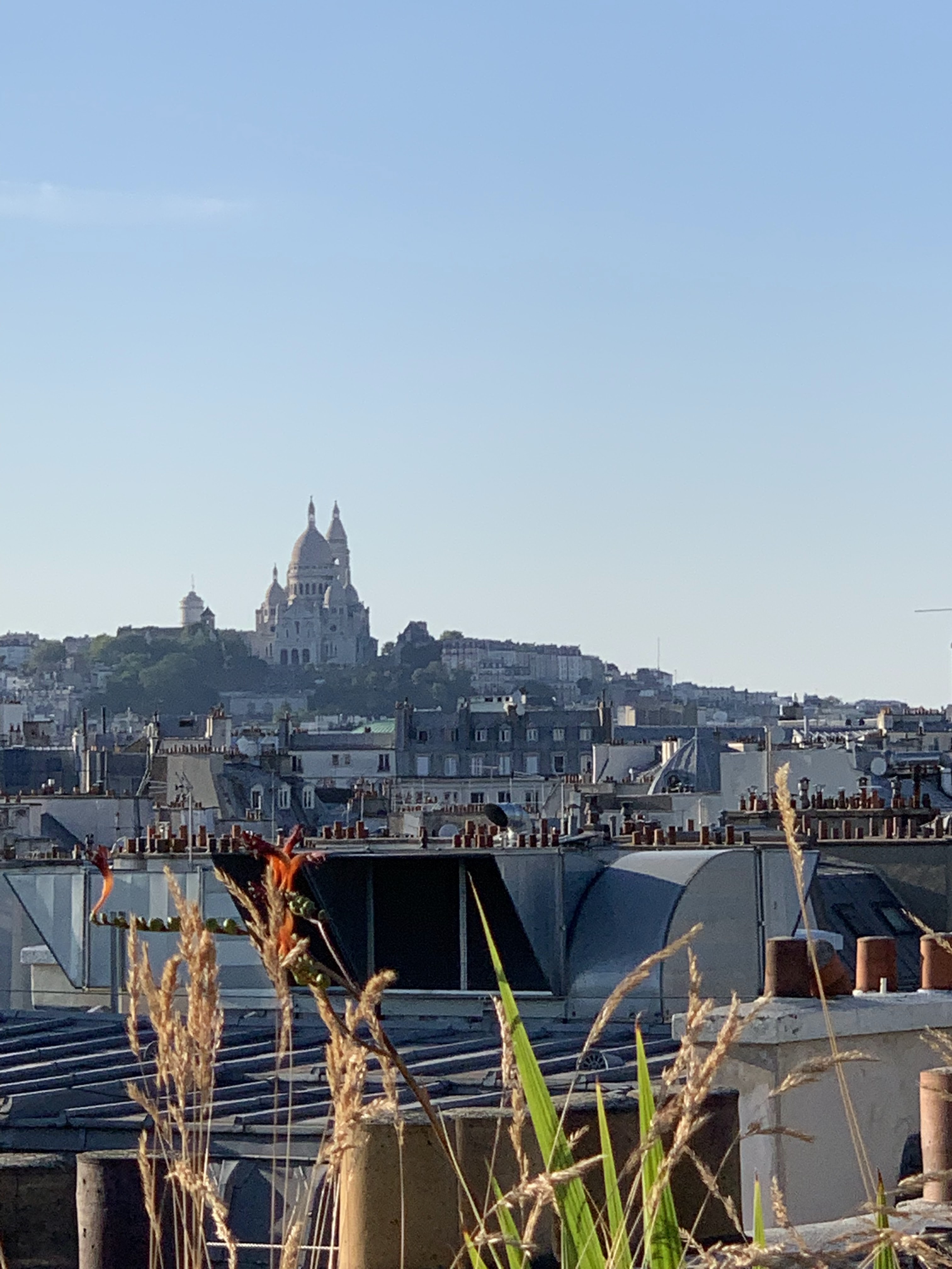 Photo n° 3 de l'avis de Michel.a fait le 04/07/2019 à 09:00