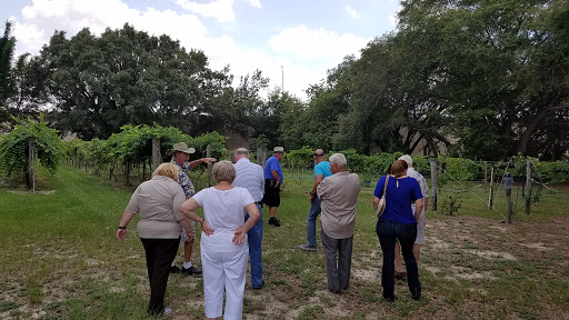 Winery «Hutchinson Farm Winery, LLC», reviews and photos, 8061 Stone Rd, Apopka, FL 32703, USA