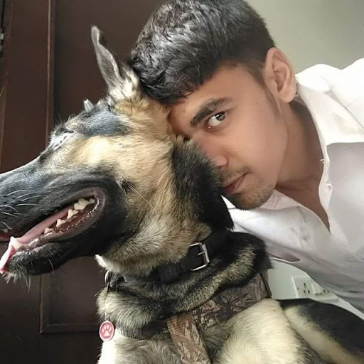 Dog trainer near me / Best Dog Trainer In Delhi | Grooming and veterinary at your home.