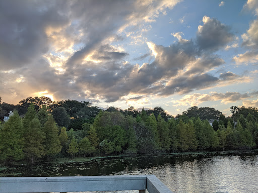 Park «Cliff Stephens Park», reviews and photos, 600 Fairwood Ave, Clearwater, FL 33759, USA