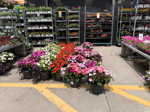 Home Improvement Store «The Home Depot», reviews and photos, 4095 US-1, Monmouth Junction, NJ 08852, USA