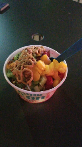 Frozen Yogurt Shop «The Pump House Frozen Yogurt Bar - Grand Rapids», reviews and photos, 2090 Celebration Dr NE #120, Grand Rapids, MI 49525, USA