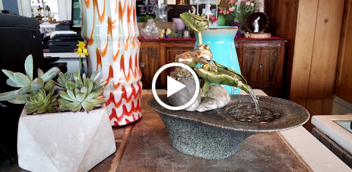 Florist «Cottonwood Florist», reviews and photos, 4681 W 20th St, Greeley, CO 80634, USA