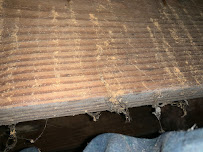 AAA Exterminating - Photo 3 - Car repair in Raleigh, NC, Raleigh