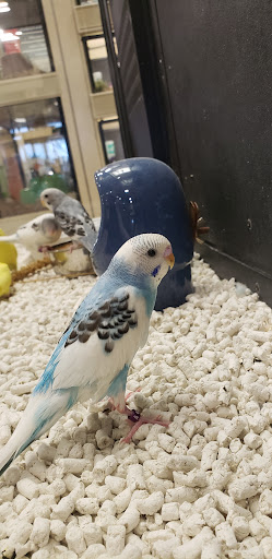 Pet Supply Store «PetSmart», reviews and photos, 2801 Pine Lake Rd, Lincoln, NE 68516, USA