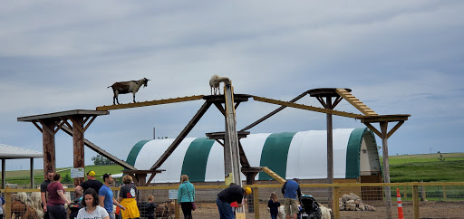 Tourist Attraction «Bloomsbury Farm», reviews and photos, 3260 69th St, Atkins, IA 52206, USA