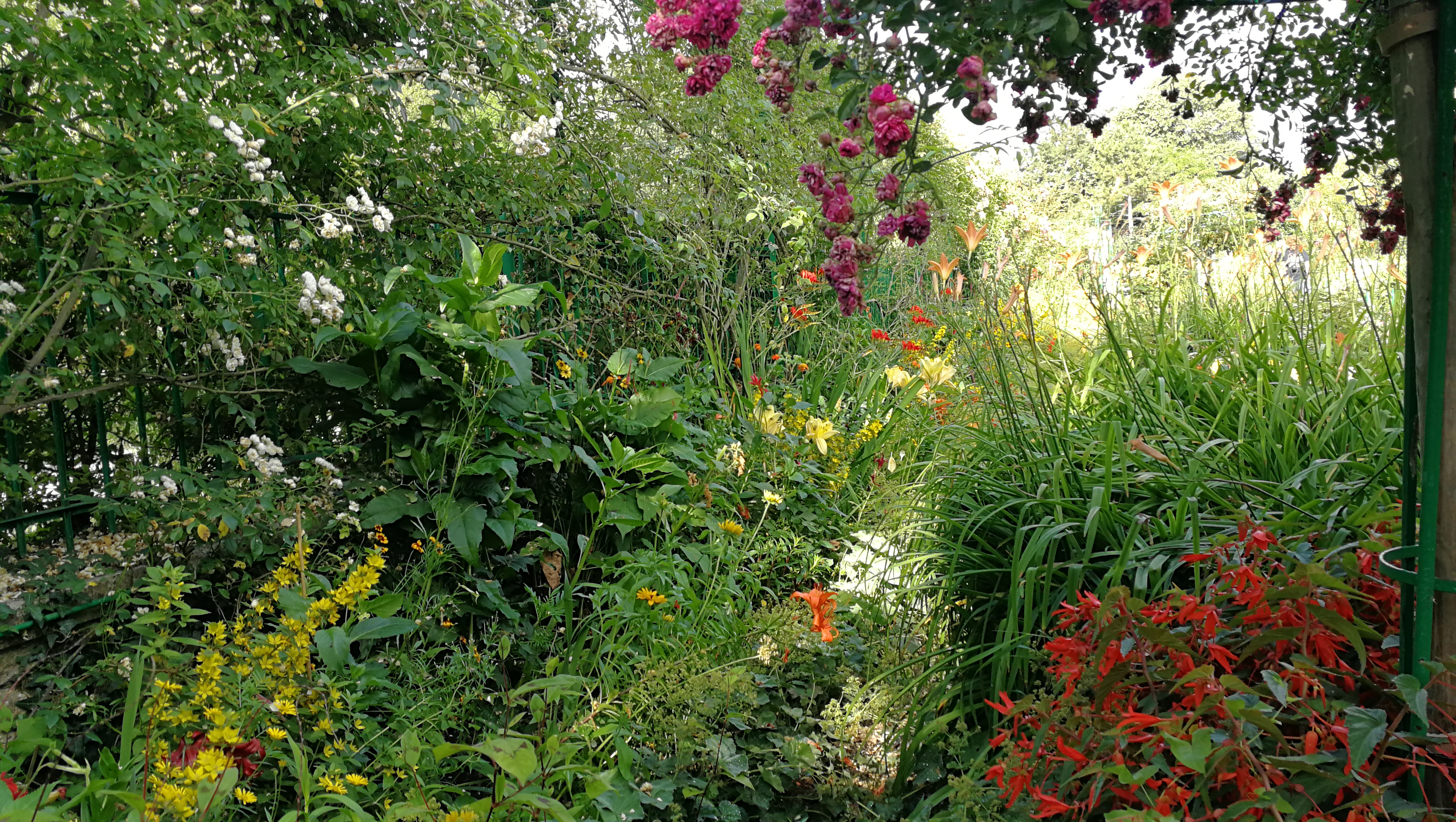 Photo n° 5 de l'avis de barbe.e fait le 10/07/2018 à 17:25