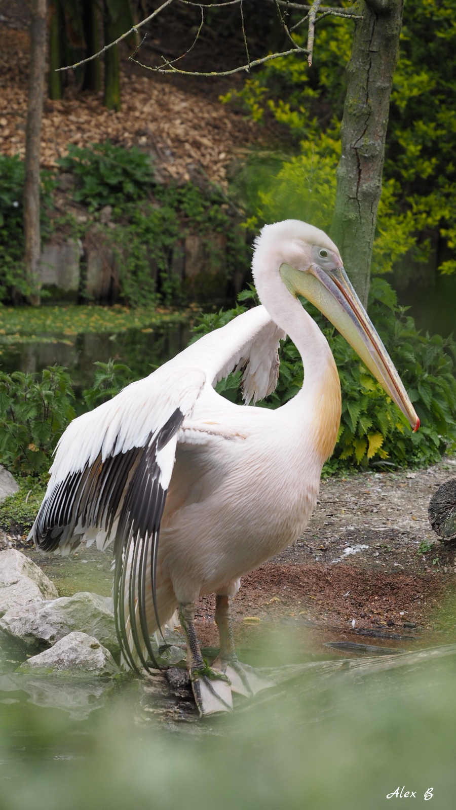 Photo n° 2 de l'avis de Alexandrine.O fait le 12/04/2017 à 21:29
