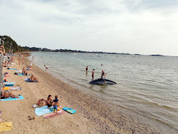 Plage de Baden'in fotoğrafı vahşi alan