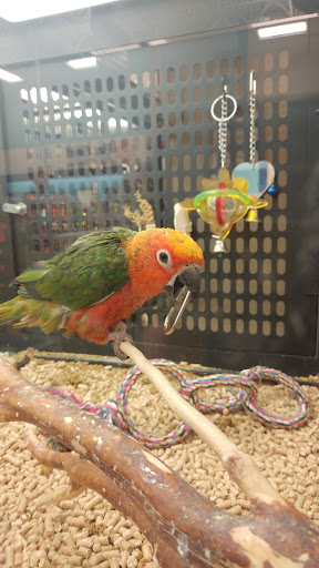 Pet Supply Store «PetSmart», reviews and photos, 12020 Cherry Hill Rd, Silver Spring, MD 20904, USA