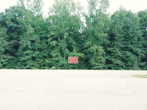 Monument «Meriwether Lewis Monument», reviews and photos, Old Natchez Trace, Hohenwald, TN 38462, USA