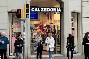 Calzedonia image