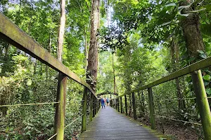 Parque Nacional Cahuita Sector Puerto Vargas image