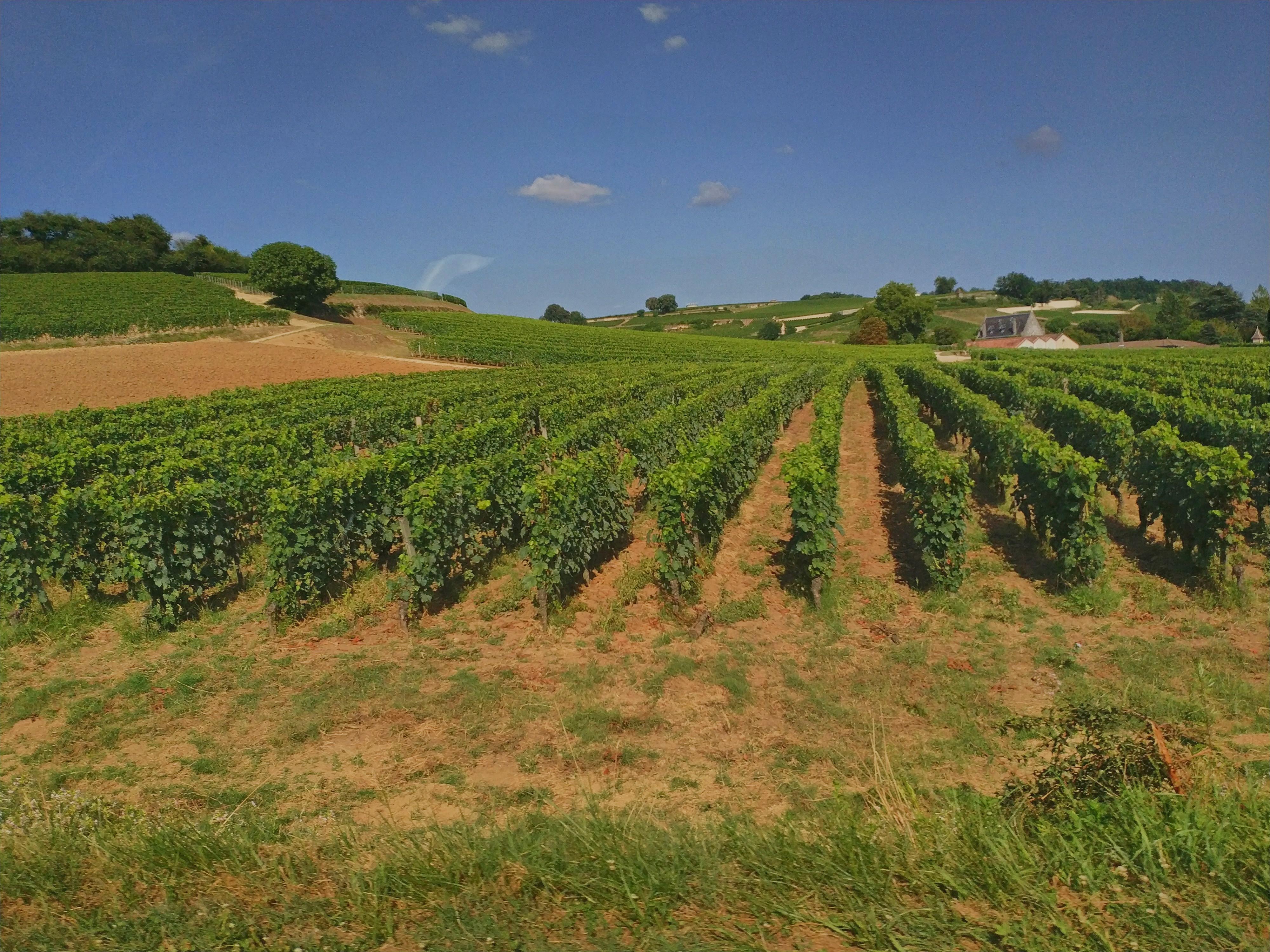 Photo n° 1 de l'avis de Jeffery.e fait le 02/08/2018 à 20:31