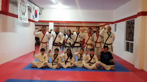 Tang Soo Do Ryun Ma II Karate
