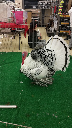 Pet Supply Store «Petco Animal Supplies», reviews and photos, 3637 2700 W, West Valley City, UT 84119, USA