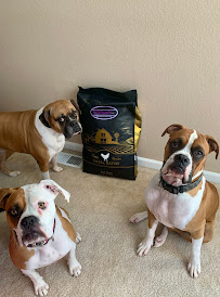 Furry Friends Inc. - Photo 5 - Car repair in Colorado Springs, CO, Colorado Springs