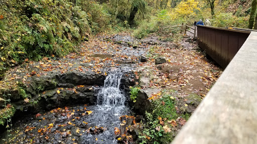 Non-Profit Organization «Audubon Society of Portland», reviews and photos, 5151 NW Cornell Rd, Portland, OR 97210, USA