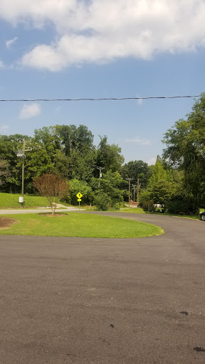 Shorter Lisa DVM image