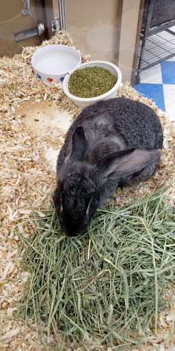 Department Store «Marshalls», reviews and photos, 100 Independence Way, Brewster, NY 10509, USA