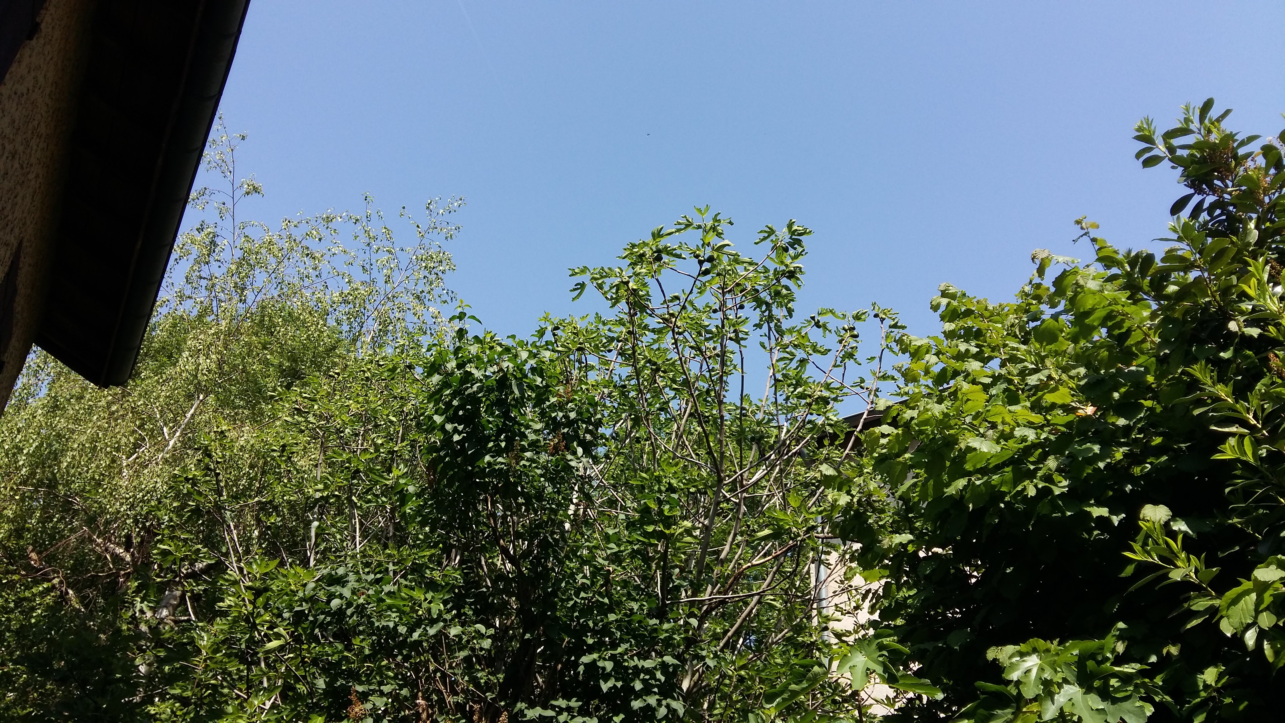 Photo n° 4 de l'avis de Simone.o fait le 14/05/2018 à 22:47