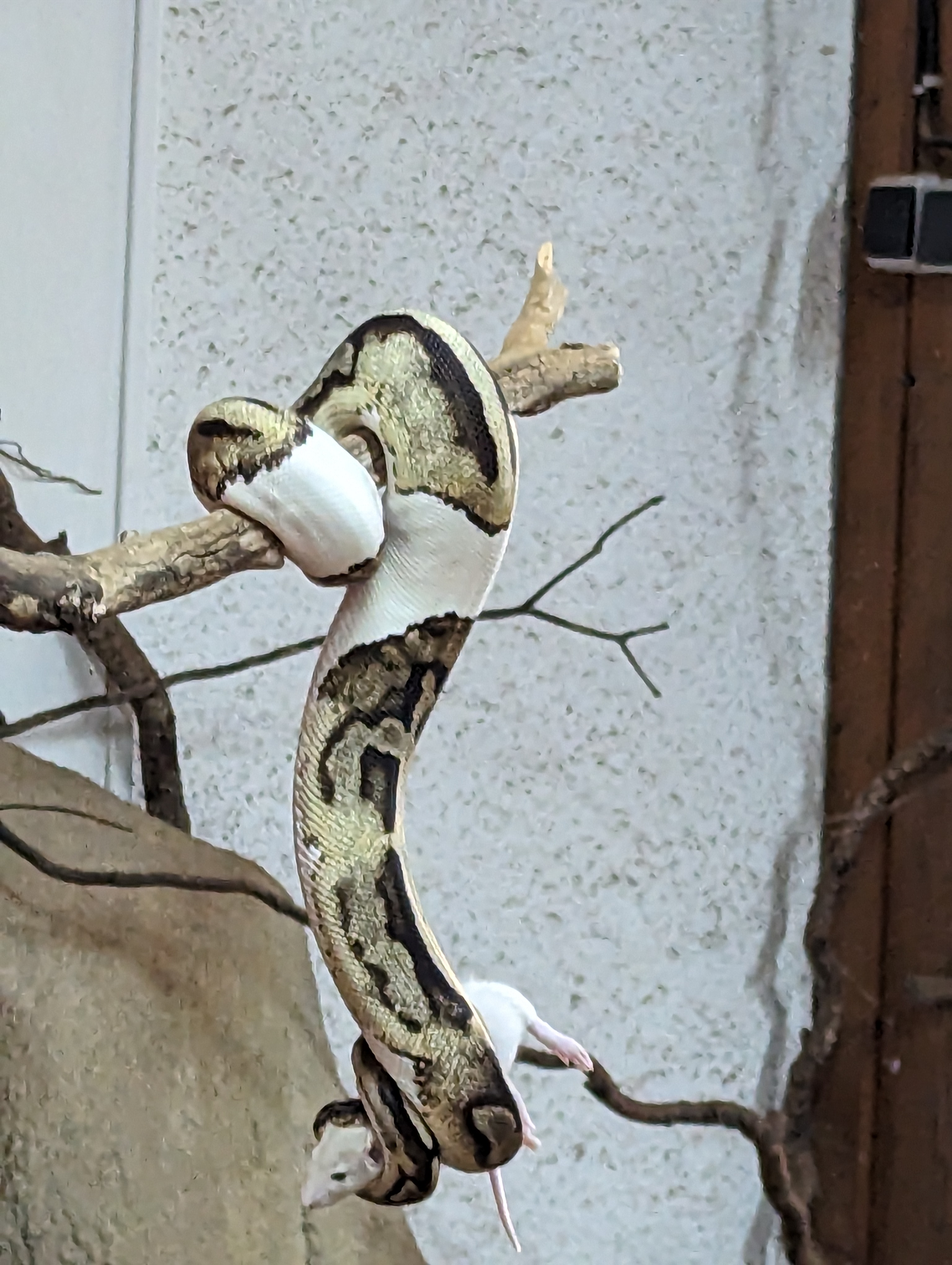 Photo n° 1 de l'avis de Georges.a fait le 05/08/2023 à 06:18