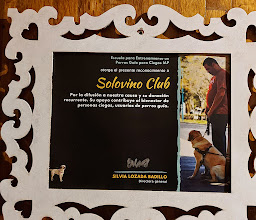 Solovino Club - Tienda de Vinos y Catas en México photo