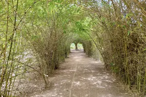 Jardin d'essai - Fondation Zinsou image