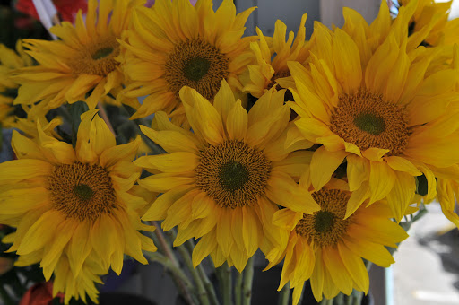 Florist «The Flower Shack», reviews and photos, 614 S Branciforte Ave, Santa Cruz, CA 95062, USA