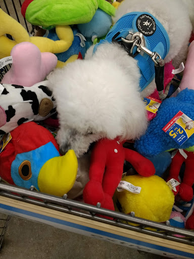 Pet Supply Store «Petco Animal Supplies», reviews and photos, 5850 Sepulveda Blvd, Van Nuys, CA 91411, USA