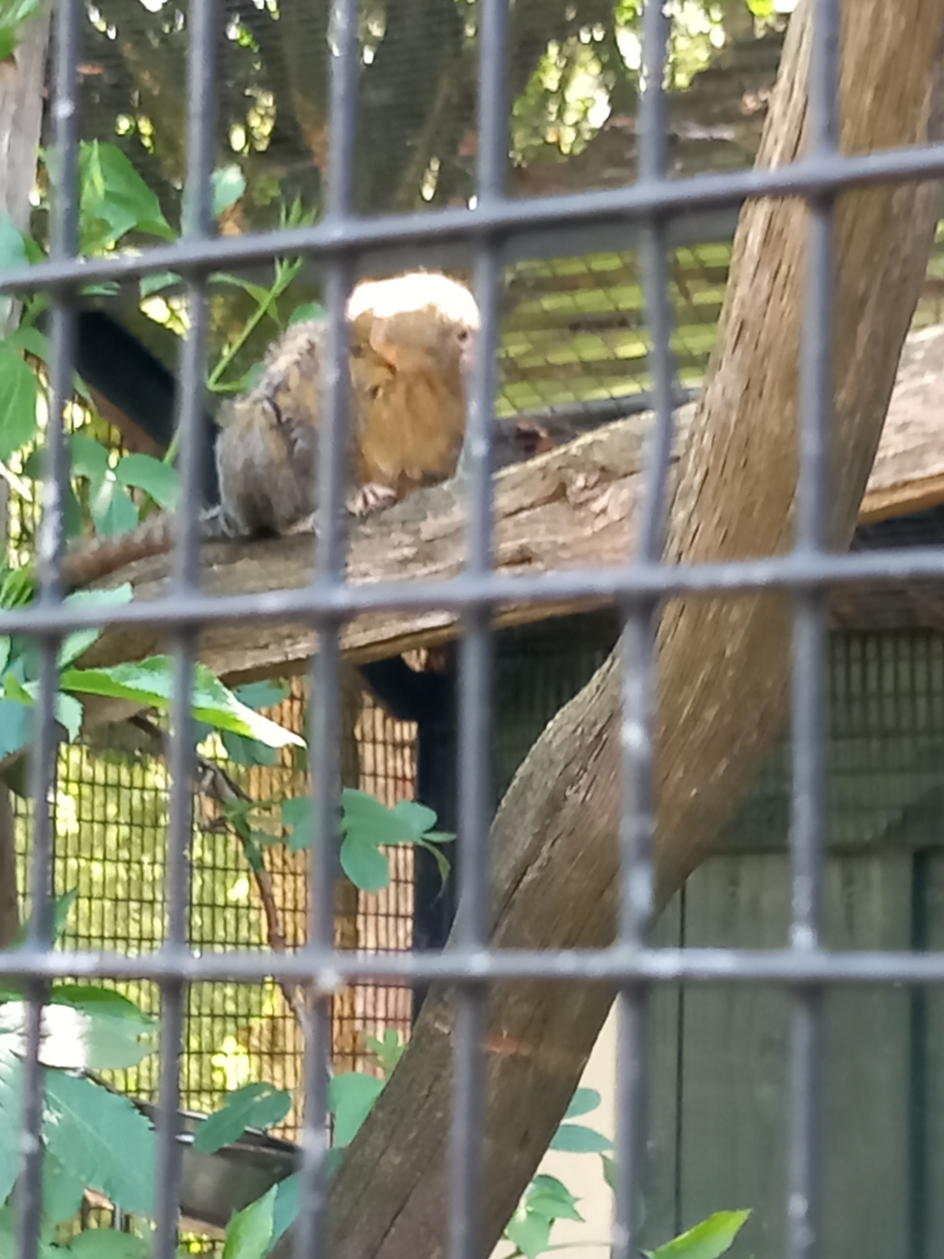 Photo n° 14 de l'avis de Karl.h fait le 01/05/2023 à 06:31