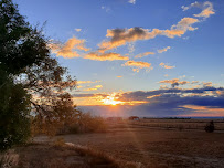 Perfect Fit Wellness Center - Photo 9 - Car repair in Peyton, CO, Denver