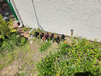 Landscape Water Experts - Photo 5 - Car repair in , Carlsbad