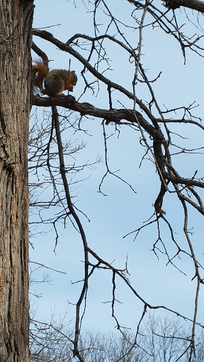 Park «Garfield Park», reviews and photos, 2505 Conservatory Dr, Indianapolis, IN 46203, USA