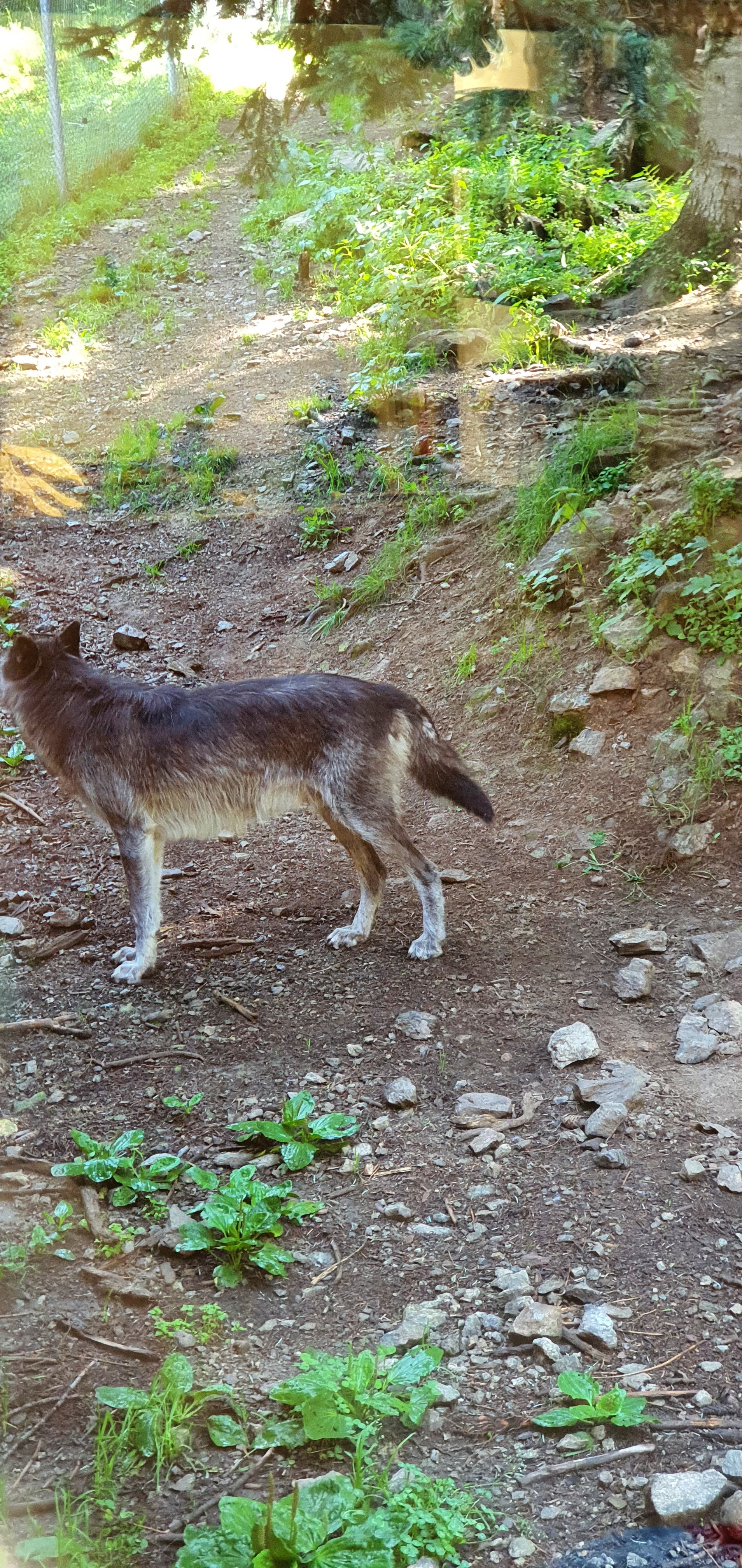 Photo n° 2 de l'avis de Philippe.I fait le 17/08/2020 à 11:07