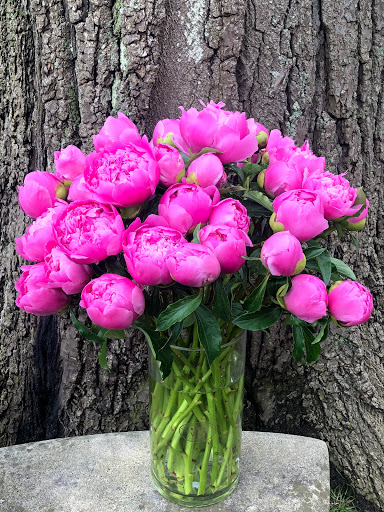 Florist «East Hampton Florist», reviews and photos, 69 N Main St, East Hampton, NY 11937, USA