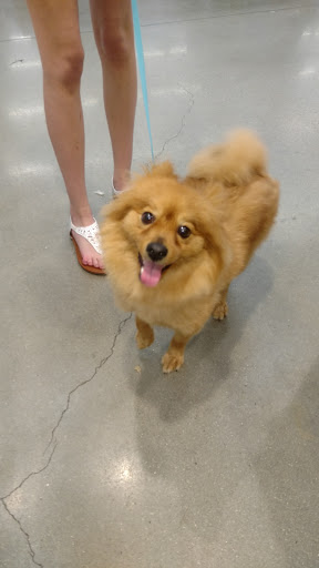 Pet Supply Store «Petco Animal Supplies», reviews and photos, 693 Middletown Warwick Rd, Middletown, DE 19709, USA