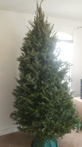 Farm «B & B Flower Farm», reviews and photos, 668 Jones Hill Rd, West Haven, CT 06516, USA