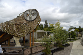 Scottish Owl Centre