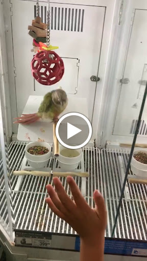 Pet Supply Store «Petco Animal Supplies», reviews and photos, 6612 Richmond Hwy, Alexandria, VA 22306, USA