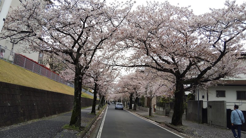 北習志野近隣公園