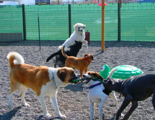 Eagle Caves Pet Resort llc