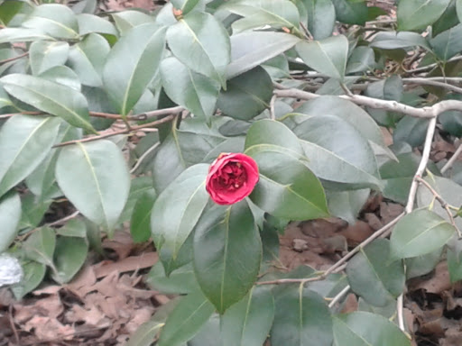 Science Museum «New York Hall Of Science», reviews and photos, 47-01 111th St, Queens, NY 11368, USA