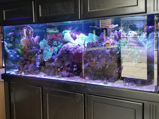 Tropical Fish Store «Life Aquatic», reviews and photos, 9 South Ave, New Canaan, CT 06840, USA